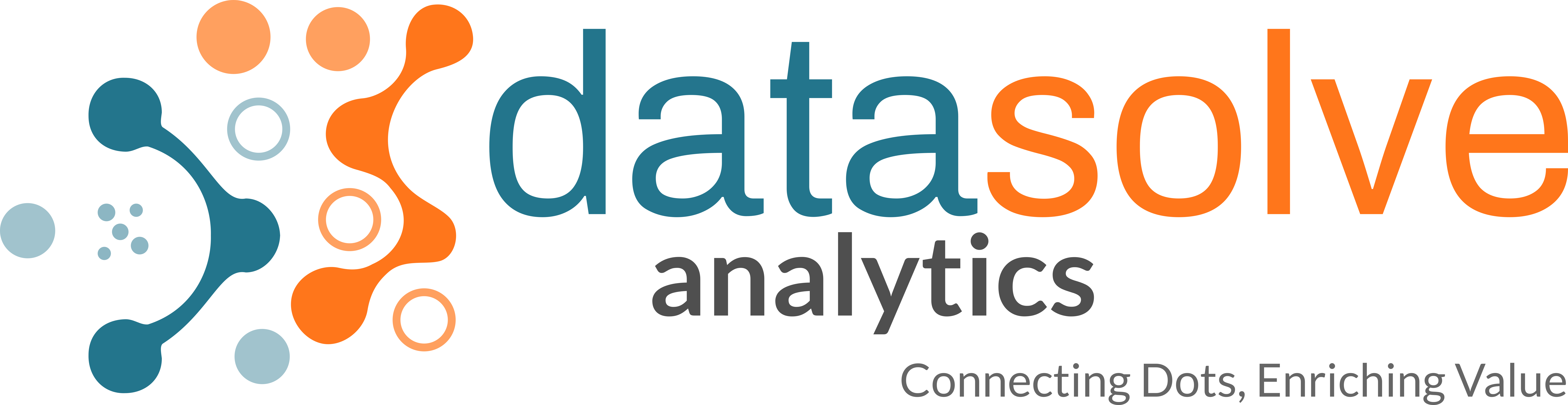 Datasolve Logo